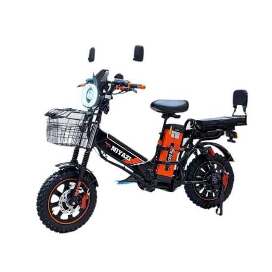 صورة دراجة كهربائي روسي جبلي 16 إنش ببطاريتين